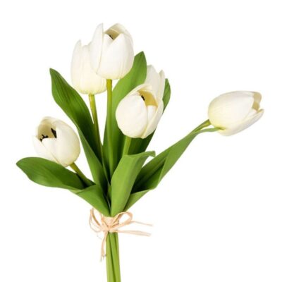 CRI Spring | Tulip Bundle, Cream