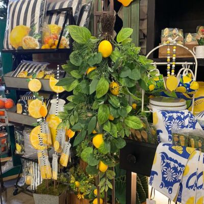 CRI Spring | Mixed Lemondrop 30″