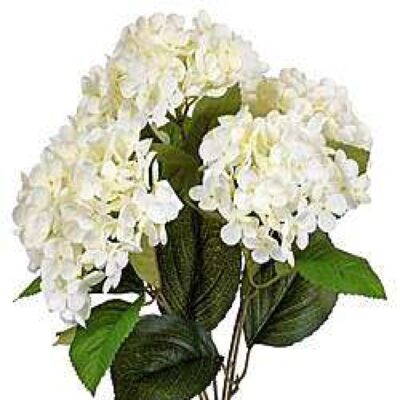 CRI Floral Decor | White Hydrangea Bush