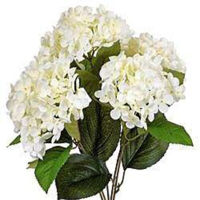 CRI Floral | White Hydrangea Bush