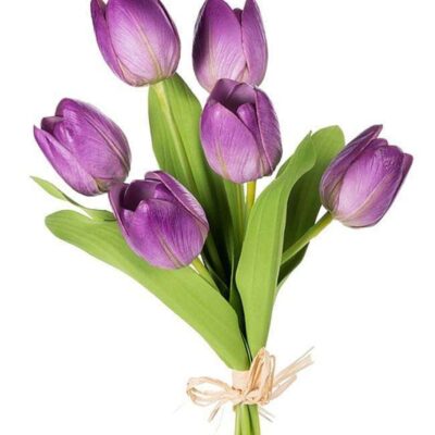 CRI Floral | Tulip Bundle, Purple