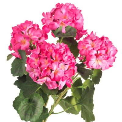 CRI Sprays | Geranium Bundle, Dark Pink