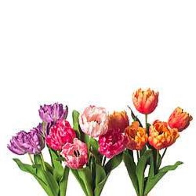 CRI Spring | Purple Tulip Bundle, 27″